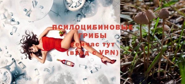 твердый Беломорск