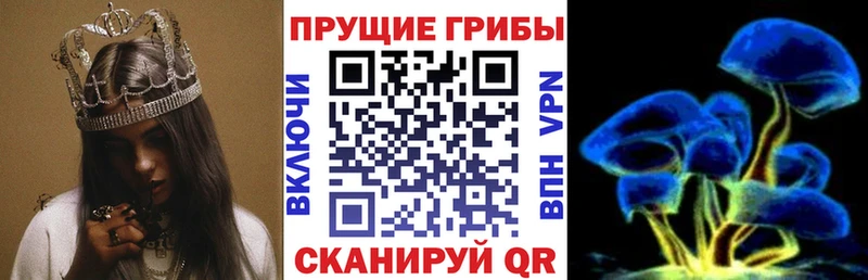 Галлюциногенные грибы Psilocybe  Монино 